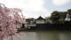 img0001.jpg