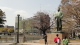 img0002.jpg