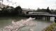 img0006.jpg