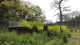 img0013.jpg