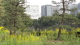 img0015.jpg