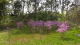 img0028.jpg