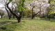 img0030.jpg