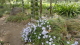 img0032.jpg