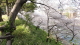 img0053.jpg