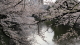 img0059.jpg