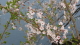 img0065.jpg