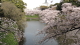 img0071.jpg