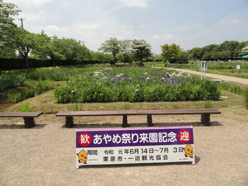 img0001.jpg