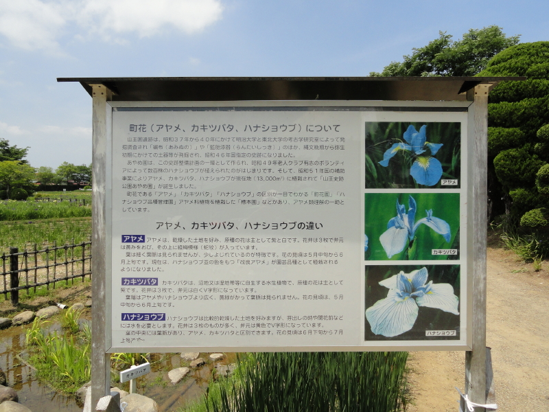 img0003.jpg