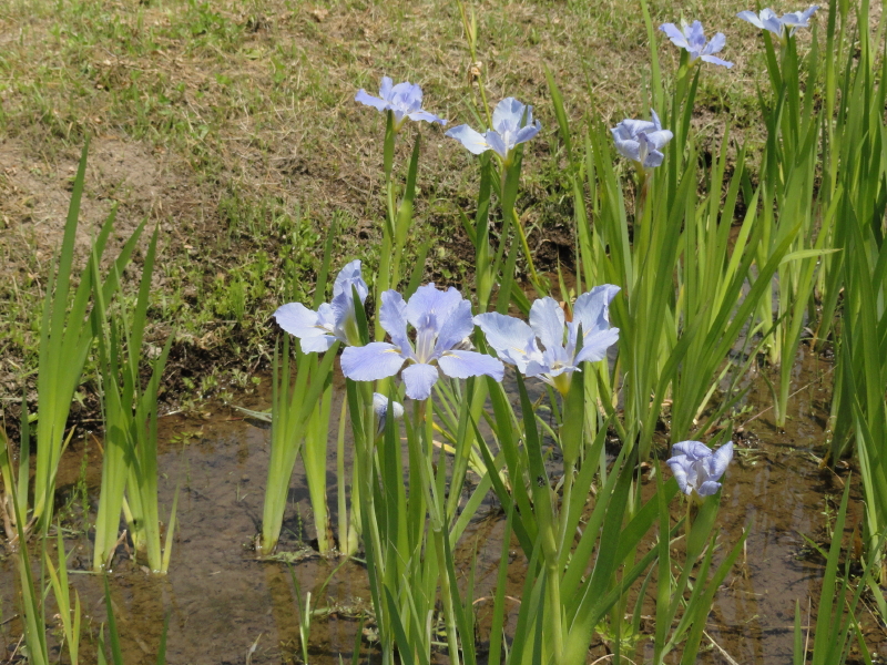img0010.jpg