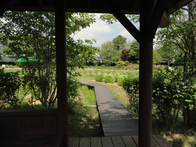 img0019.jpg