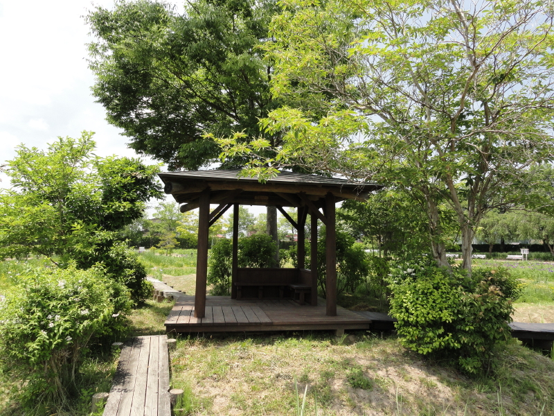 img0020.jpg