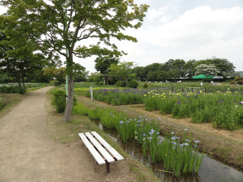 img0056.jpg