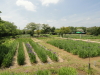 img0002.jpg