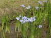 img0010.jpg