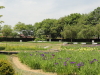 img0015.jpg