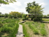 img0016.jpg
