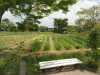 img0031.jpg
