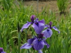 img0047.jpg
