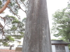 img0016.jpg