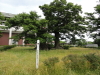 img0014.jpg
