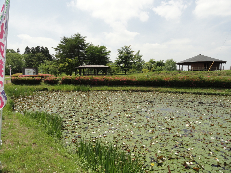 img0019.jpg