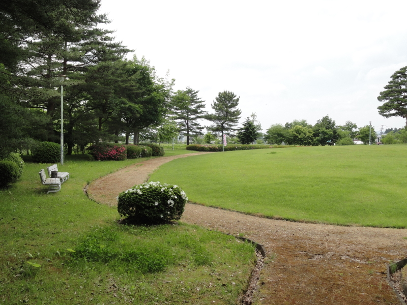 img0029.jpg