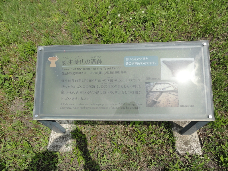 img0036.jpg