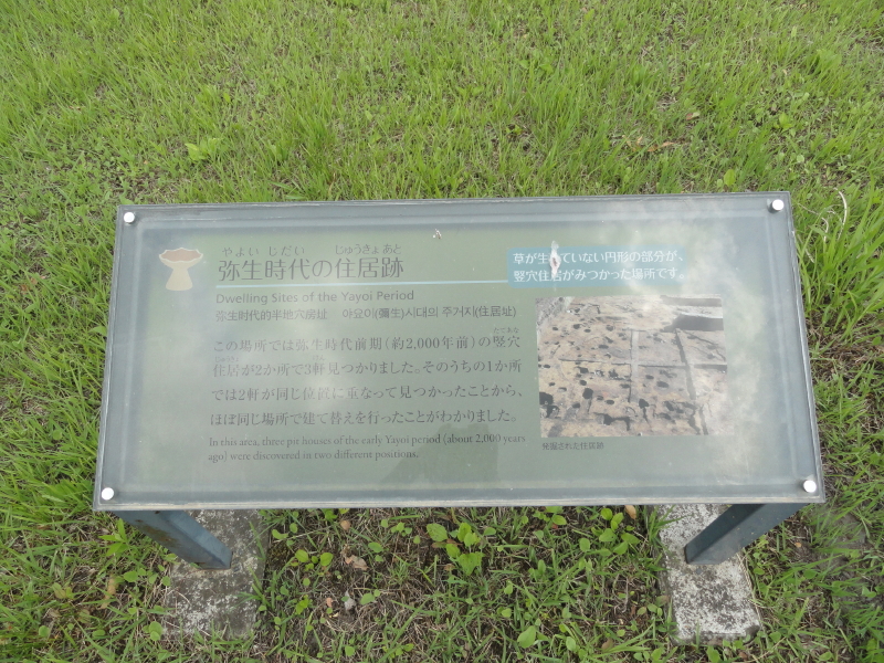 img0037.jpg