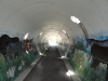 img0004.jpg