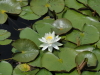 img0017.jpg