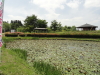 img0019.jpg