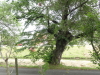 img0028.jpg