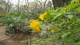 img0002.jpg