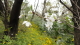 img0007.jpg