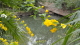 img0009.jpg