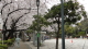 img0012.jpg