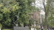 img0013.jpg