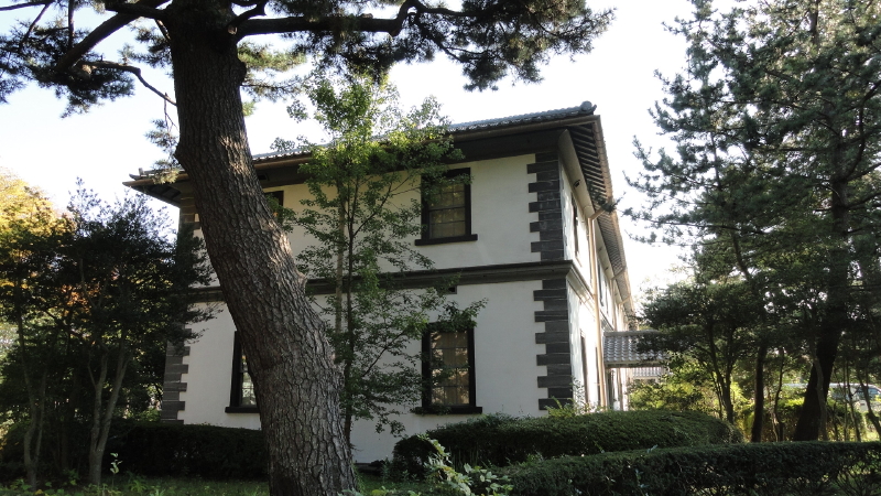 img0009.jpg