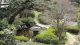 img0036.jpg
