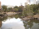 img0003.jpg