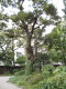 img0006.jpg