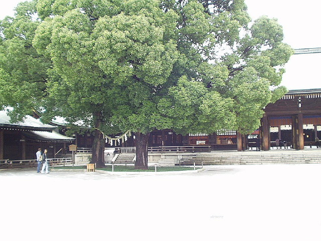 img0007.jpg