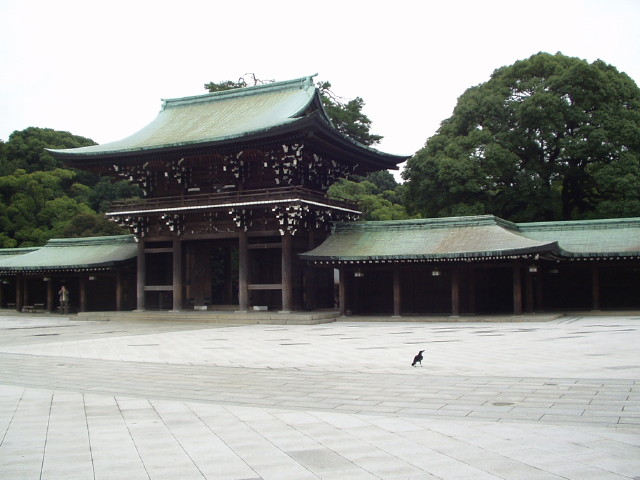 img0011.jpg
