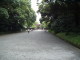 img0001.jpg