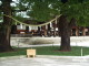 img0010.jpg