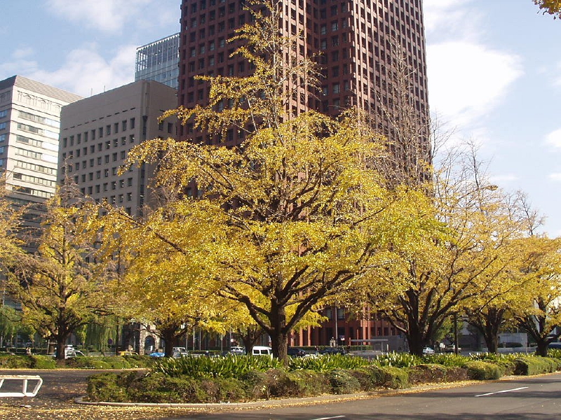 img0021.jpg