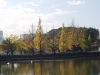 img0015.jpg