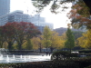 img0018.jpg